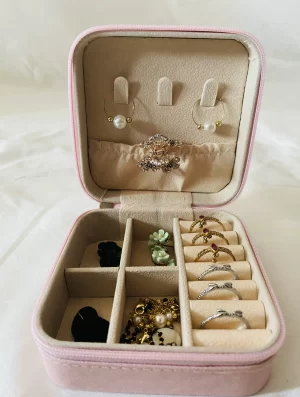 Mini Jewelry Organizer Case